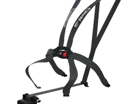 2024 RZR XP 1000 Click 6 Harness Cheap